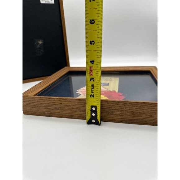 Regal Intercraft Glass 8x10 Display Case Shadow Box Set of 2 - Picture 5 of 7